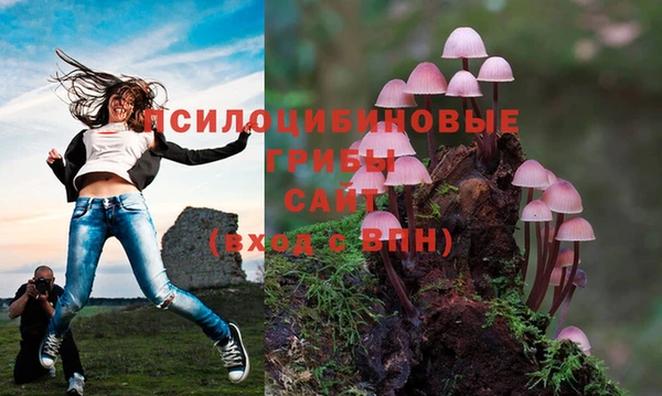 круглые Пересвет