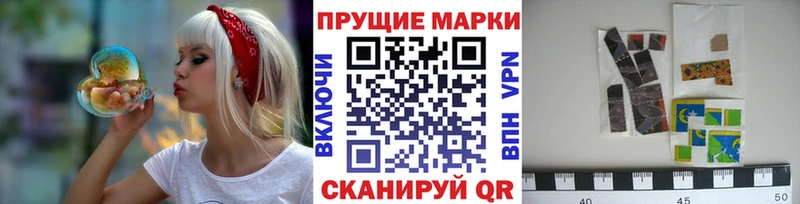 mega tor Камень-на-Оби Марки NBOMe 1,8мг