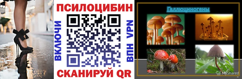 Галлюциногенные грибы мухоморы  Камень-на-Оби 